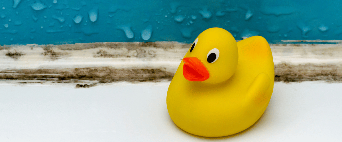 bathroom mold duckie