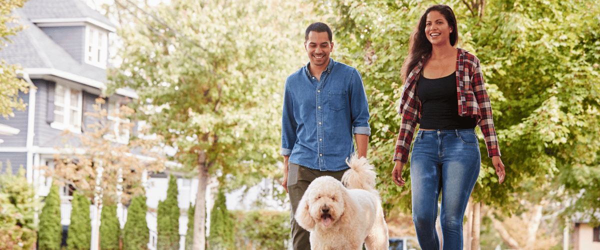 couple walking dog