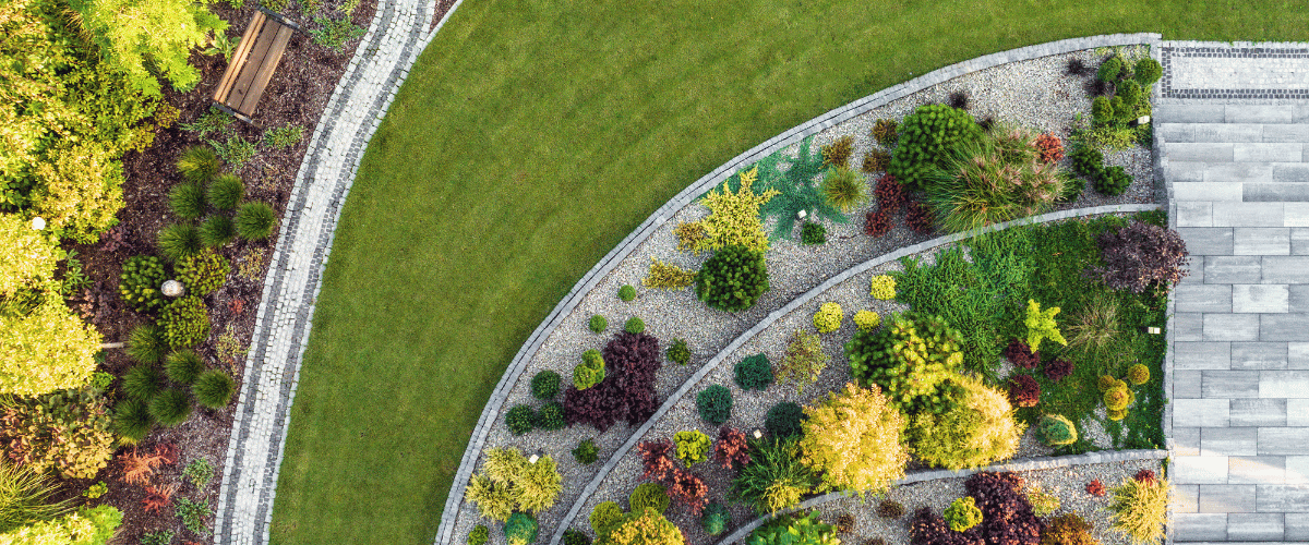 landscaping backyard