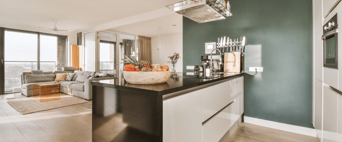 kitchen living room windows