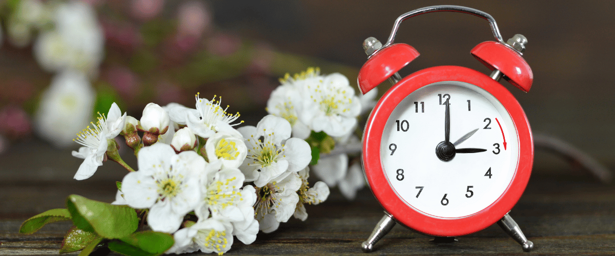 spring forward daylight savings time